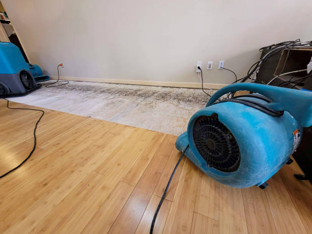 Professional Flood Damage Cleanup technician working in Pine Grove, WV